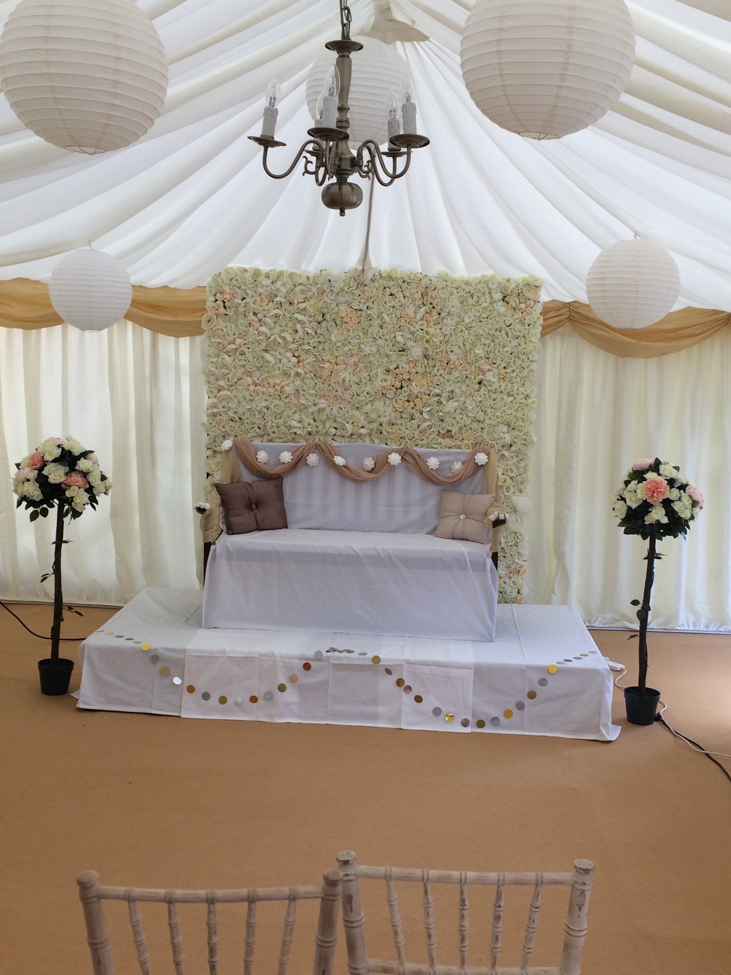 Ivory rose tree hire