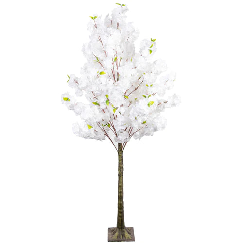 White Blossom Tree